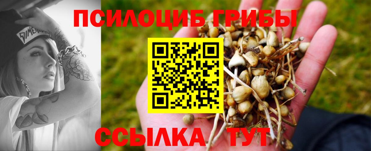 Галлюциногенные грибы мухоморы Пенза